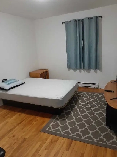 Logement à louer