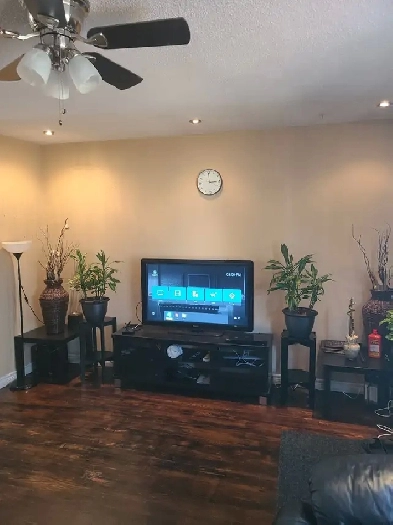 ODSP AND OW ACCEPTED sharing room with roomate available now