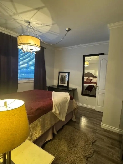 CLASSY, CHIC, FULLY-FURNISHED, ONE-BEDROOM FLAT IN CENTRAL YEG