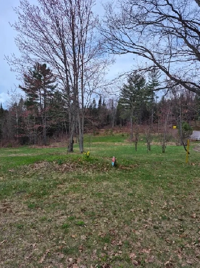 Vacant land - Lot 2 Viburnum Vale, Mattawan Twp, On