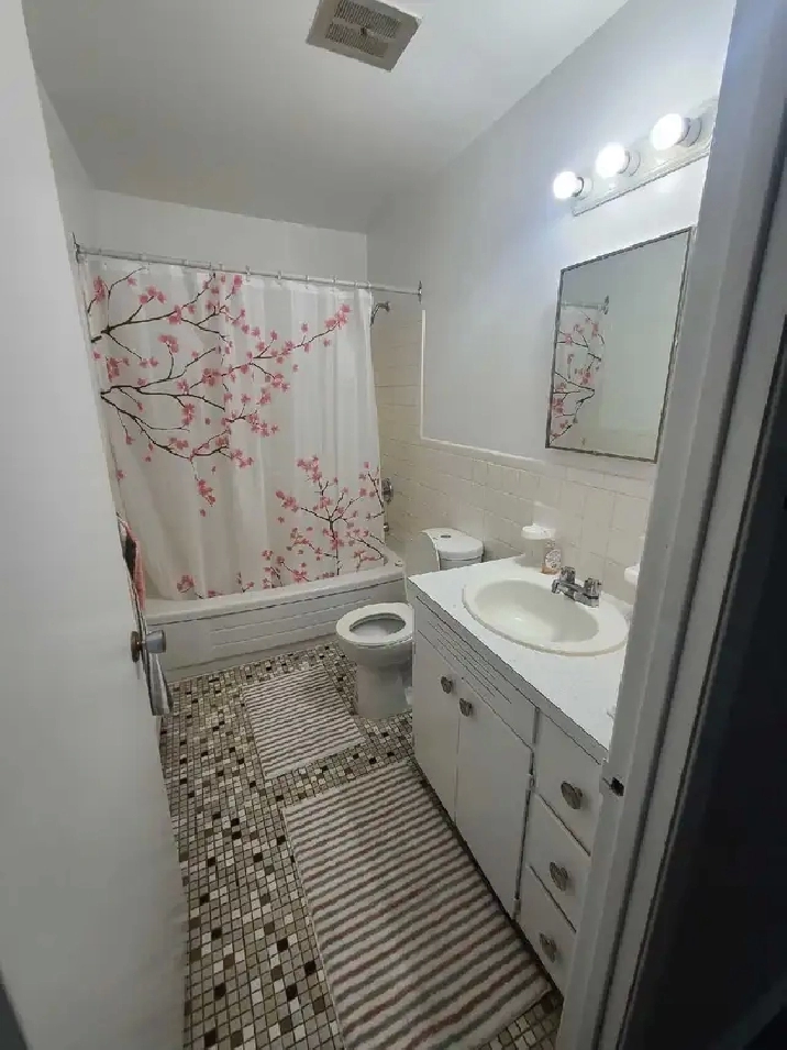 1 bed apt. for rent just behing NBCC Moncton