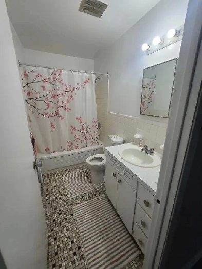 1 bed apt. for rent just behing NBCC Moncton