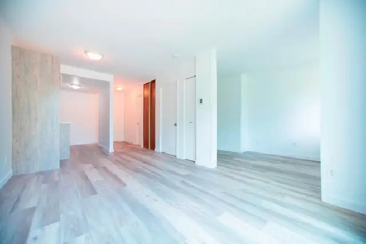 Studio JUILLET cuisine rénovée