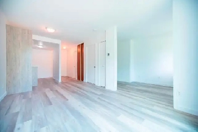 Studio JUILLET cuisine rénovée