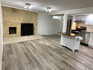 Legal 2 bedroom basement suite Rundle NE