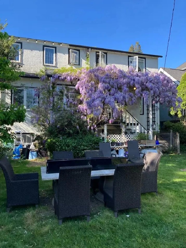 Room for rent close to UBC