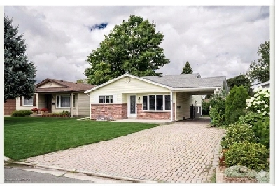 Main Unit - Legalized Duplex In Kitchener Immediately Available