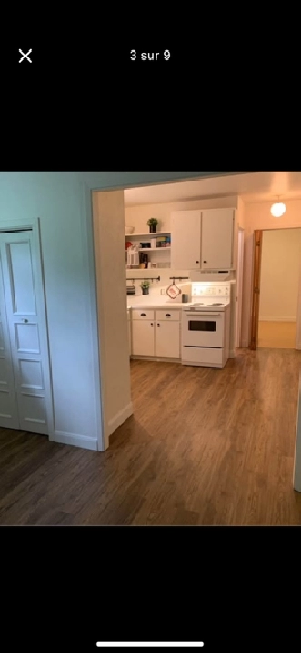 3 1/2 Quartier Moncalm 975$