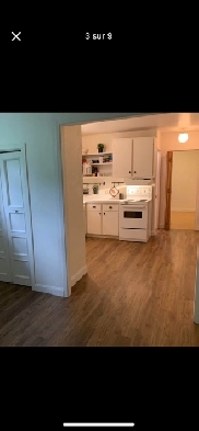 3 1/2 Quartier Moncalm 975$