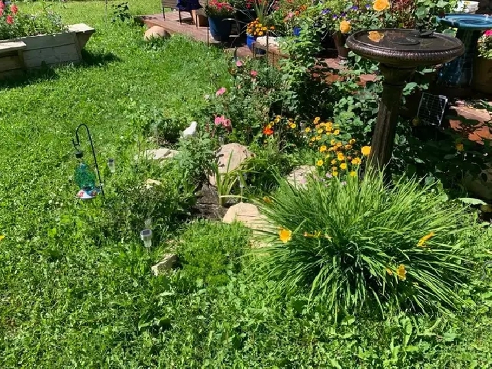 Photo 15