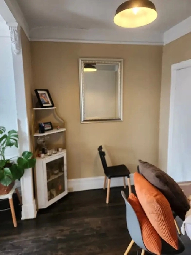 large 3 1/2   backyerd at downtown montreal logement for rent