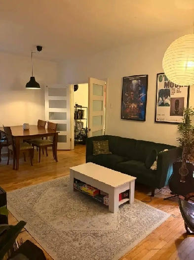 5 1/2 Apartment