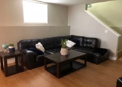 Quality  2-Bedroom Suite with Private Driveway & 6 Applian