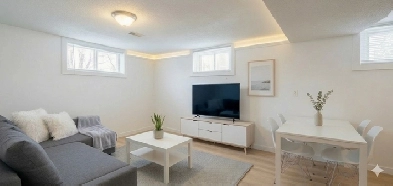 1 Bedroom 1 Bathroom Furnished Basement