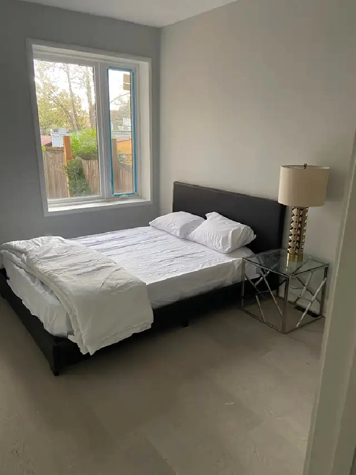 Large renovated one bedroom (whole main floor!) in Roncesvalles