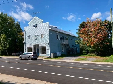 Large one bedroom plus den in Fournier