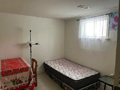 BRIGHT ROOM BASEMENT -50m TO PLAZA STEELES AND BATHURST NEAR BUS