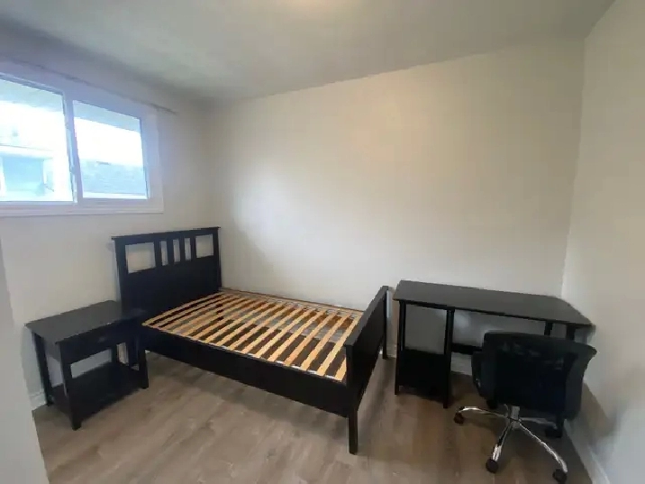Single Room Available