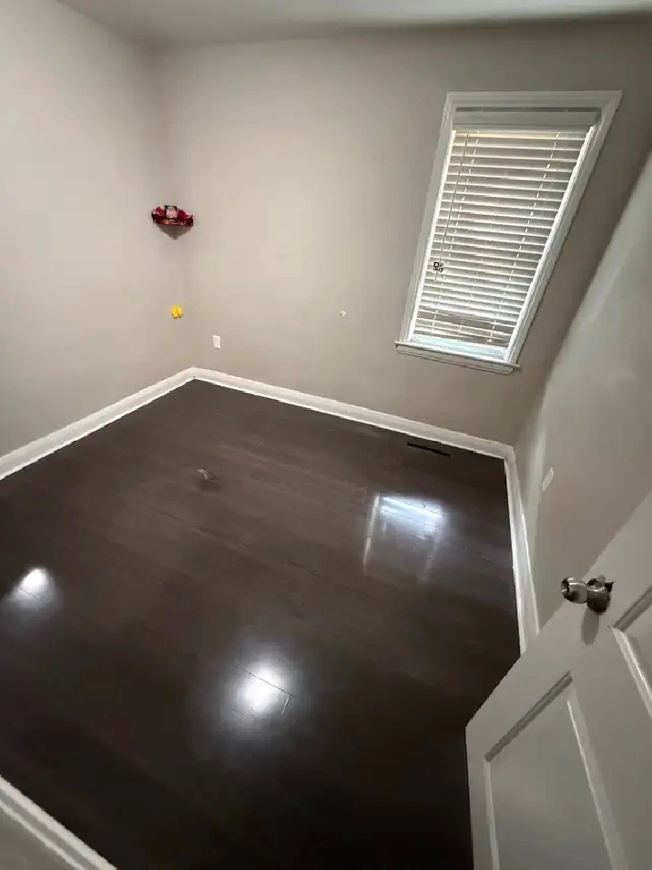 House for rent