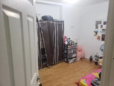 Walkout basement apartment for rent, best area of Scarborough