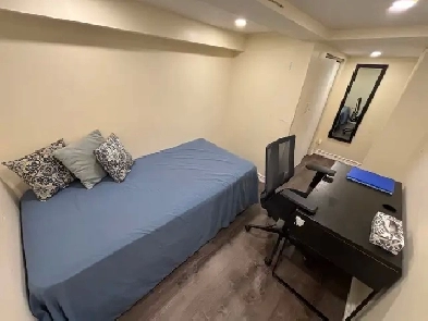 Furnished student 3 bedroom near UofT and TMU
