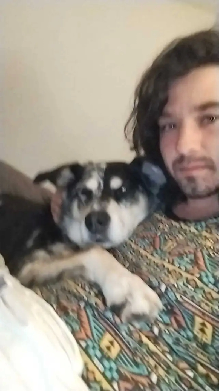 looking for a dog friendly room or studio