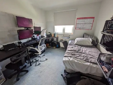 Young Professionals, Students, Central, Furnished, For June 01st