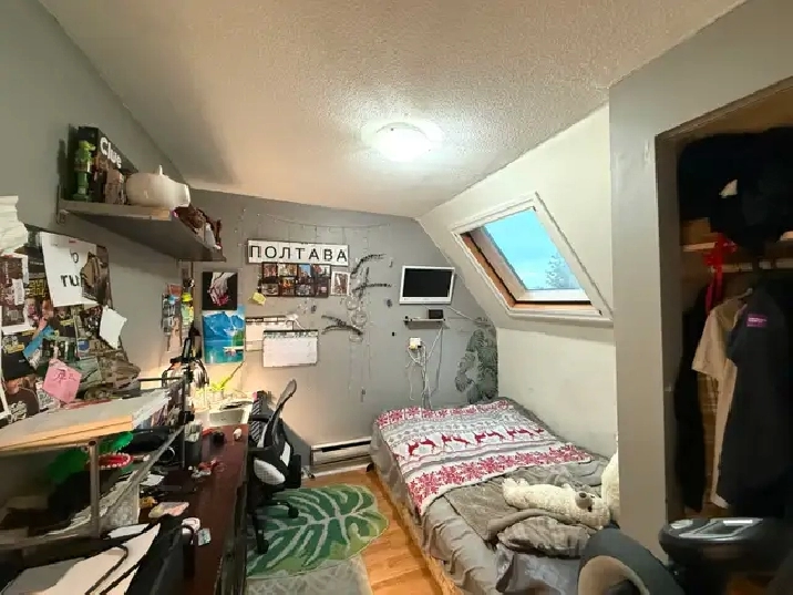 Photo 8