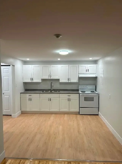 Renovated 2 bedroom apartment