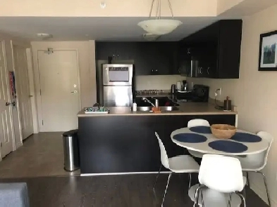 1 Bedroom Condo - available August 1