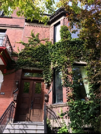 Beautiful Victorian 6 1/2