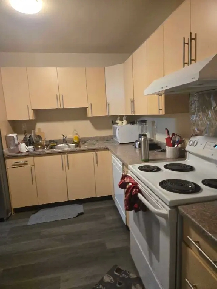 Rooms available for rent