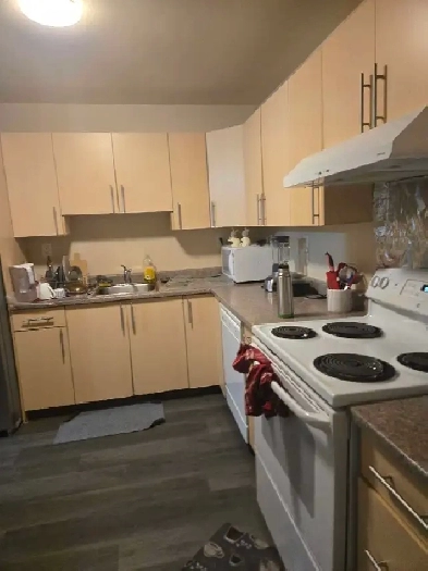 Rooms available for rent