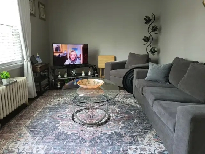 Bright & Clean One Bedroom Apartment in St. Catharines