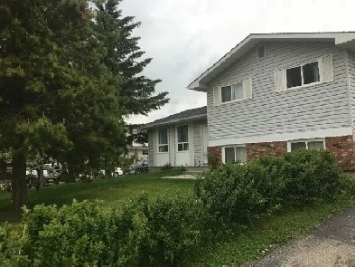 Room for Rent in Rundle