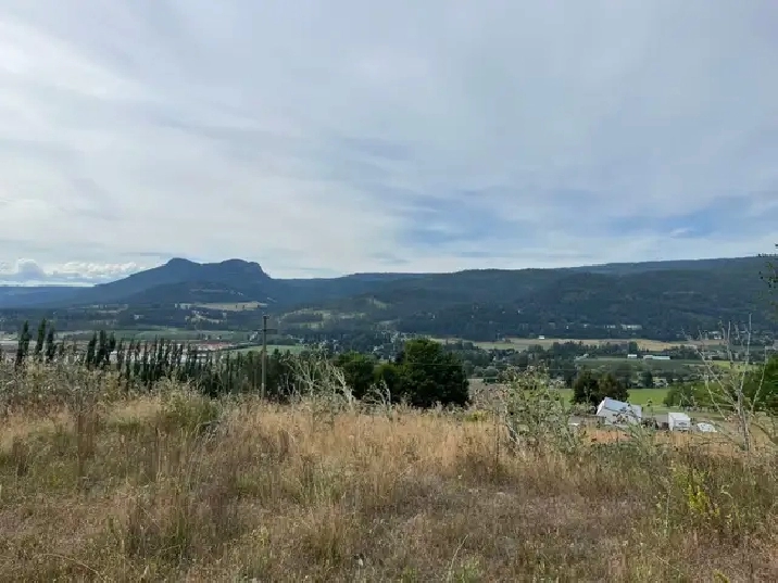 40 acres land $ greenhouse for lease in Coldstream