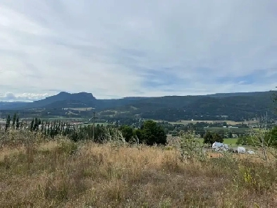 40 acres land $ greenhouse for lease in Coldstream