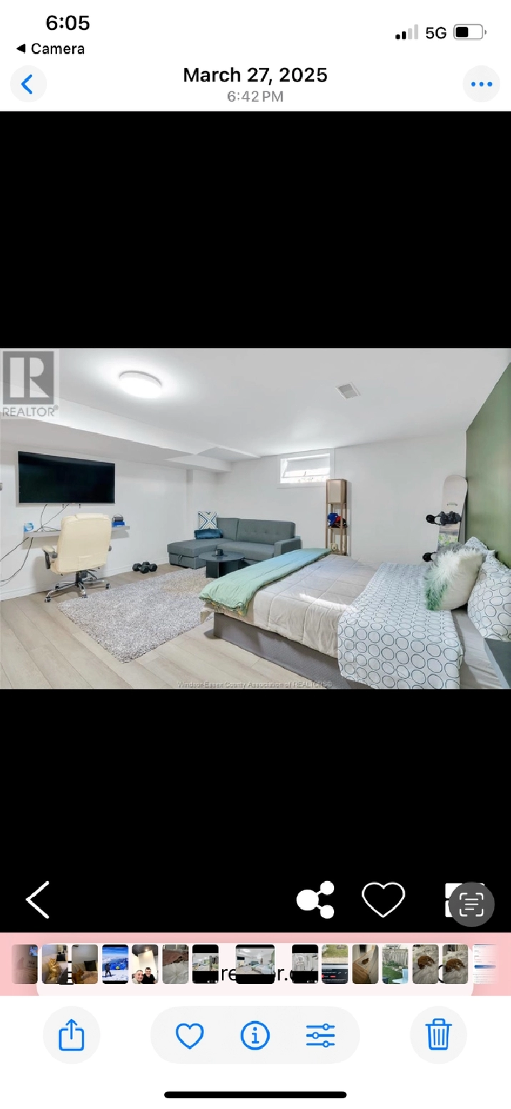 Studio for rent for