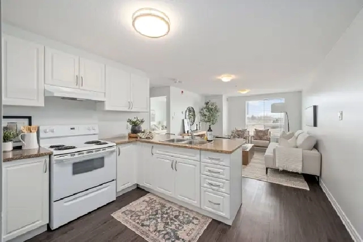 1 BD Apartment for Rent Available July 1st