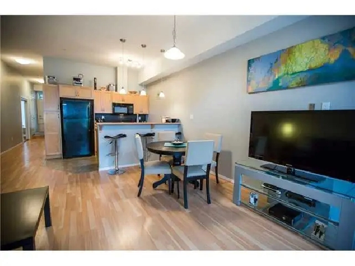 1 Bedroom condo downtown, all inclusive, underground parking