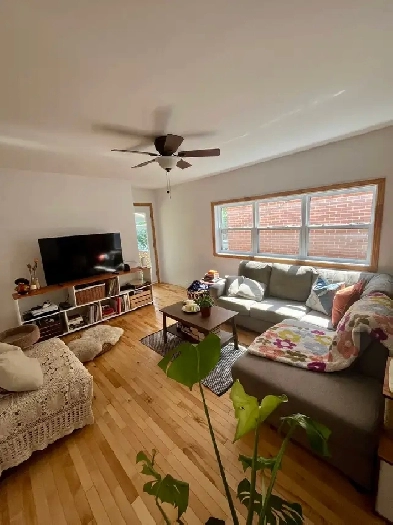 4 1/2 lumineux à louer dans le Vieux-Rosemont