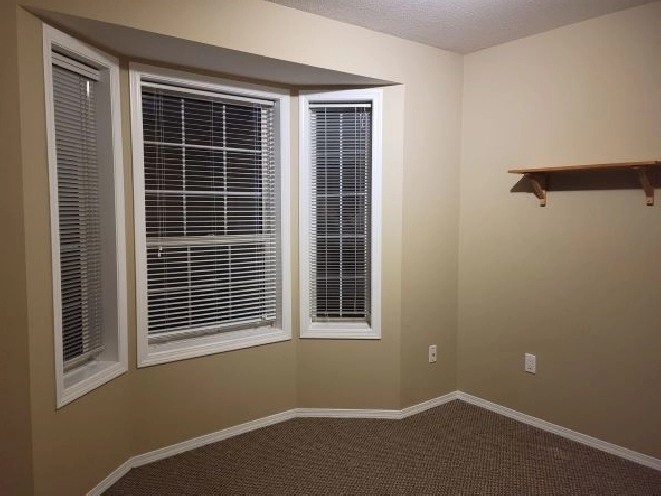 Room for Rent - Shared House with Myself and Kitties ONLY