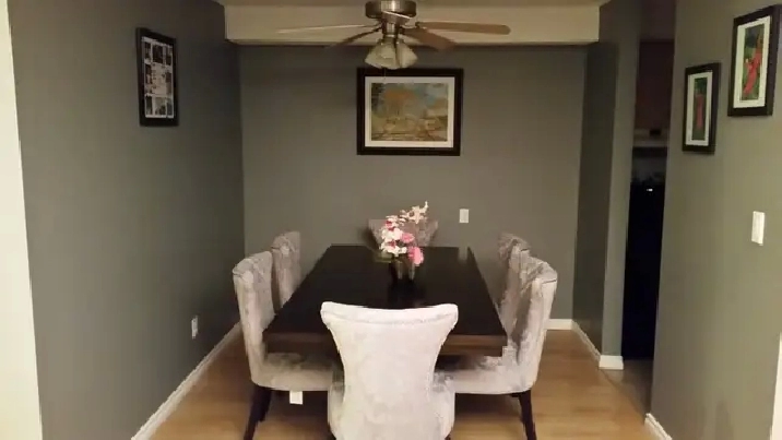 Newly updated 1300 square foot 3 bedroom, 2 bathroom condo.