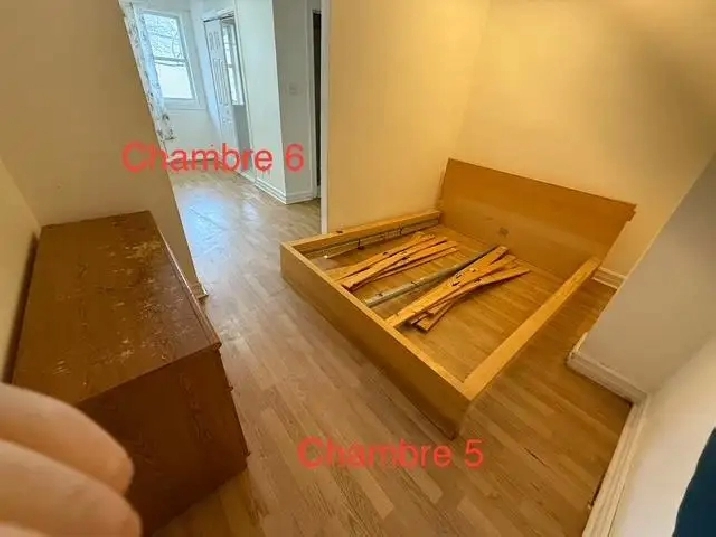 Photo 4