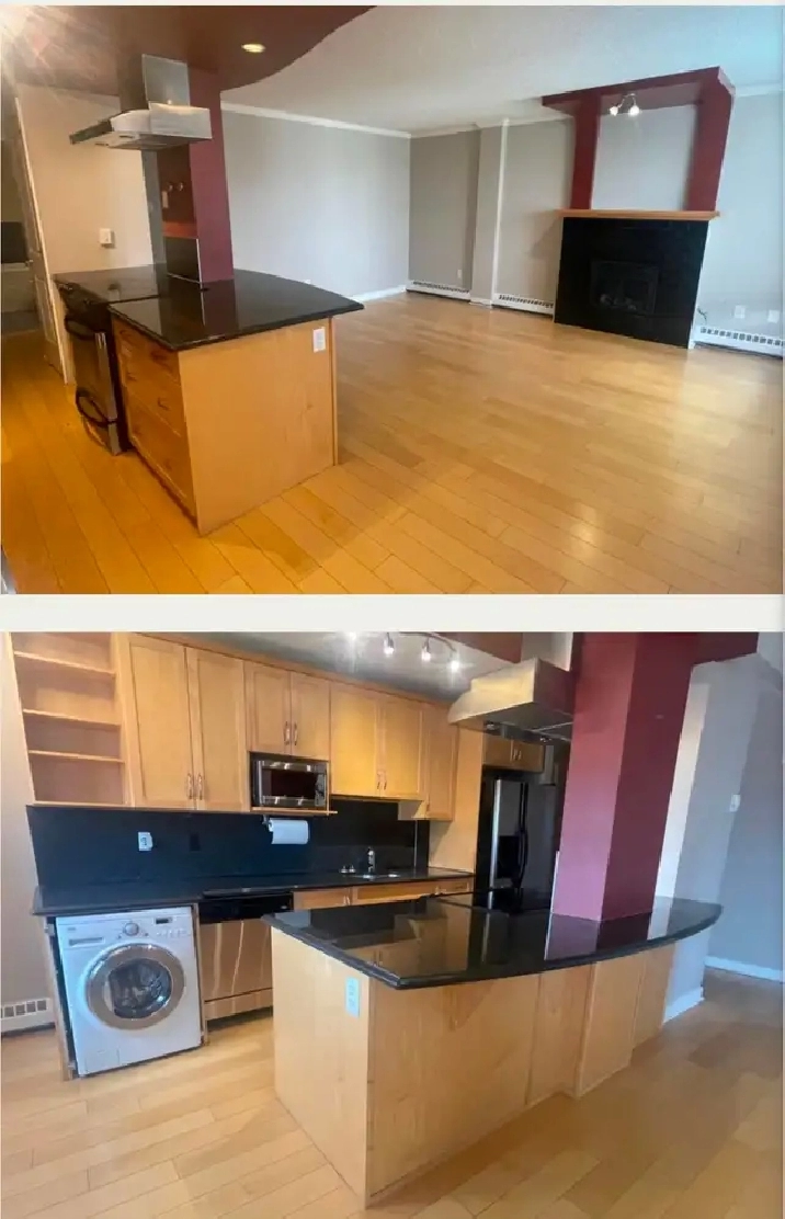 $1450 Long-term 1 bedroom Downtown Condo including all utilities