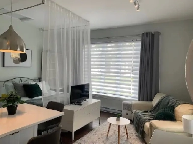 Loft ensolleillé meublé et 100% tout incl. entr. compris.