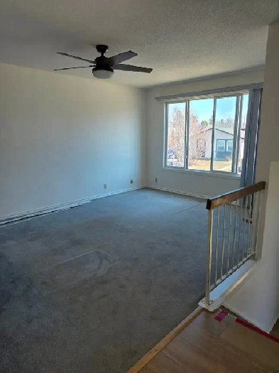 3 bedroom main level
