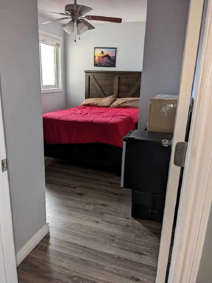 Room for rent