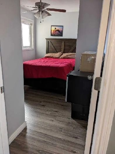 Room for rent
