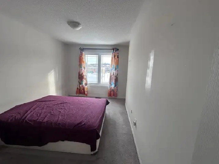 Large Room for rent in Barrie (South side - Mapleview & Essa)